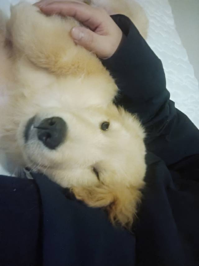 一粒沙子