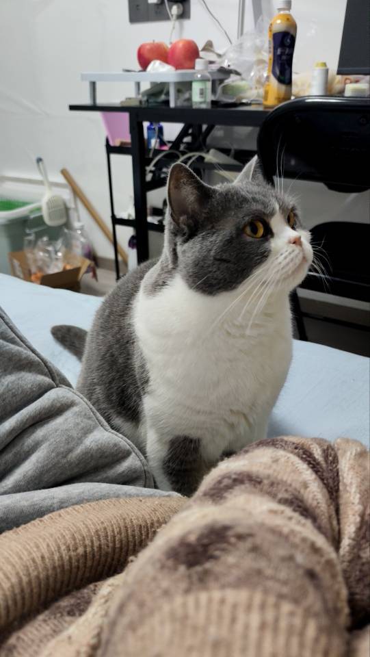 愉悦
