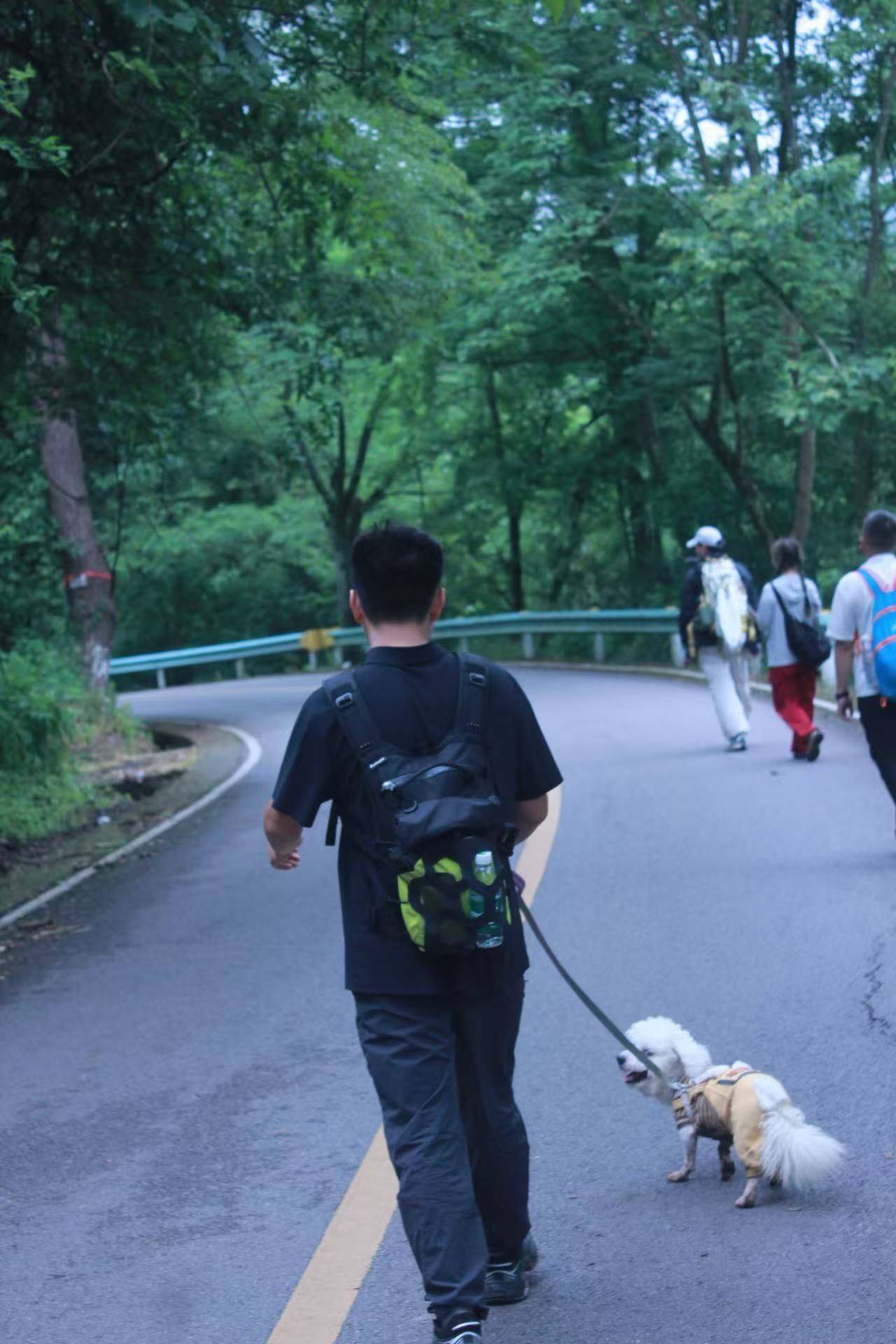 牛牛快跑