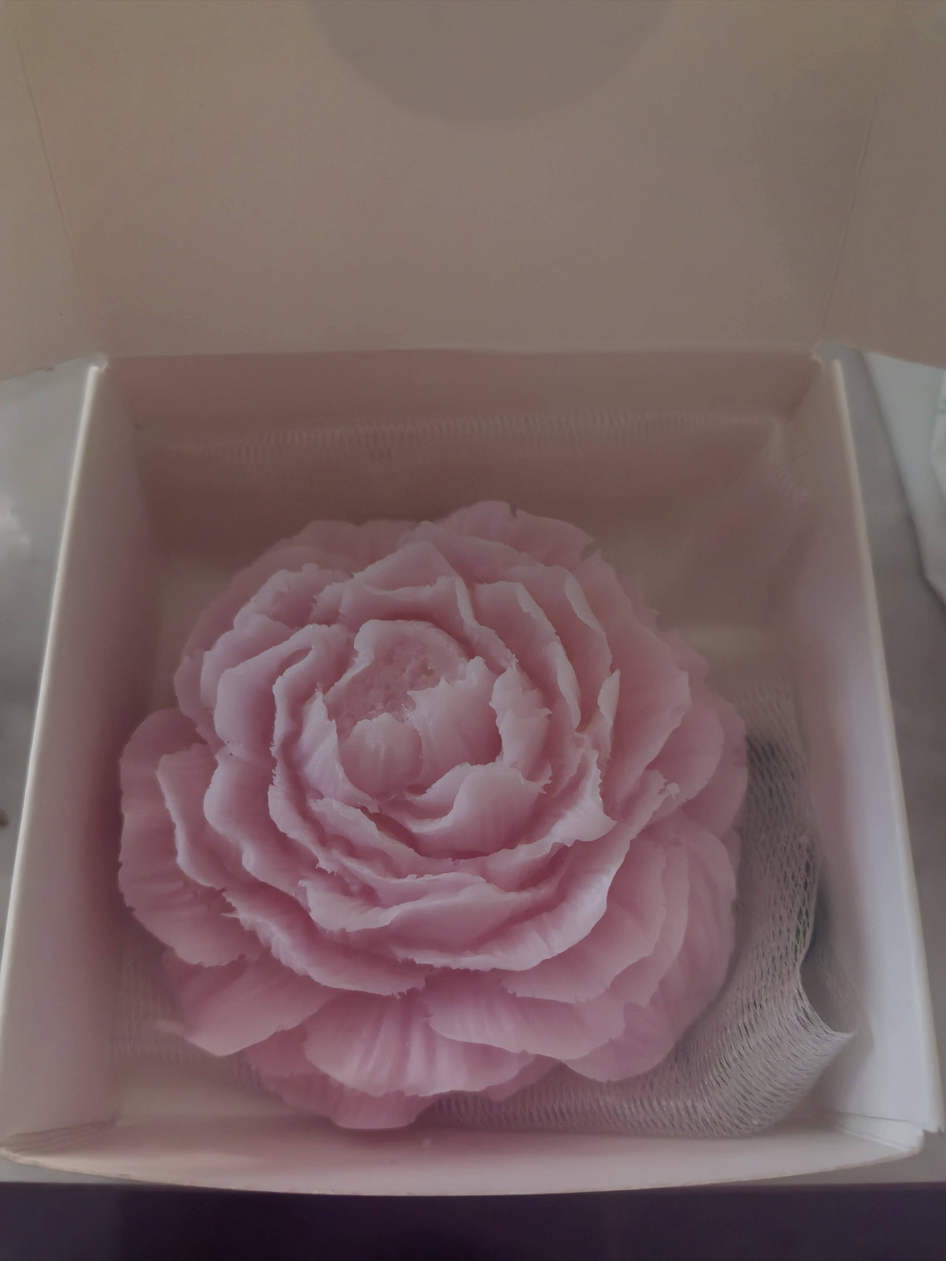 房东直租