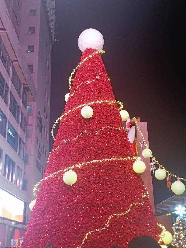 小虎