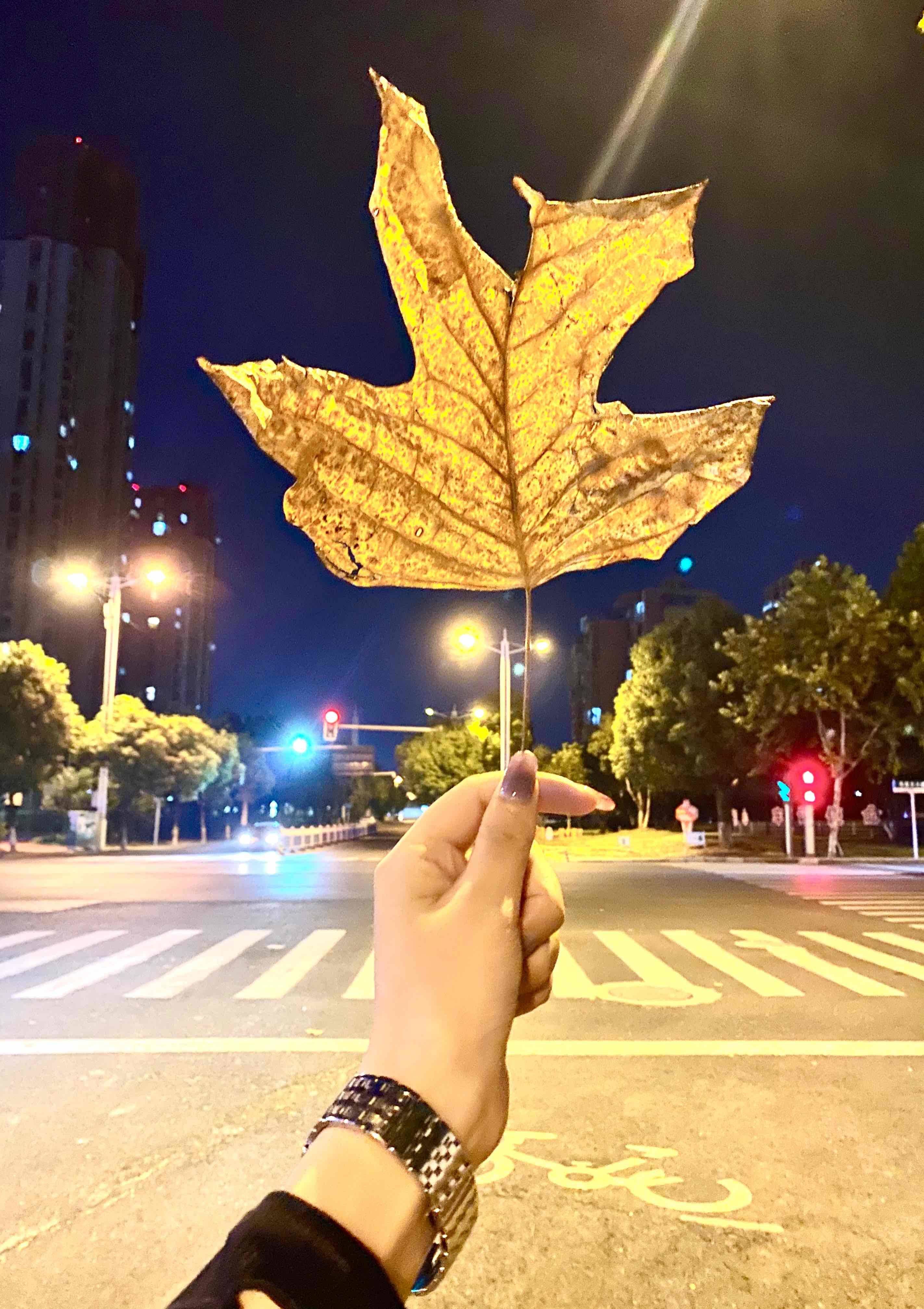 晓晓