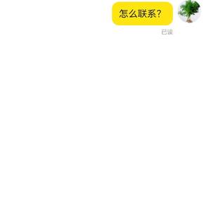 鑫飞扬