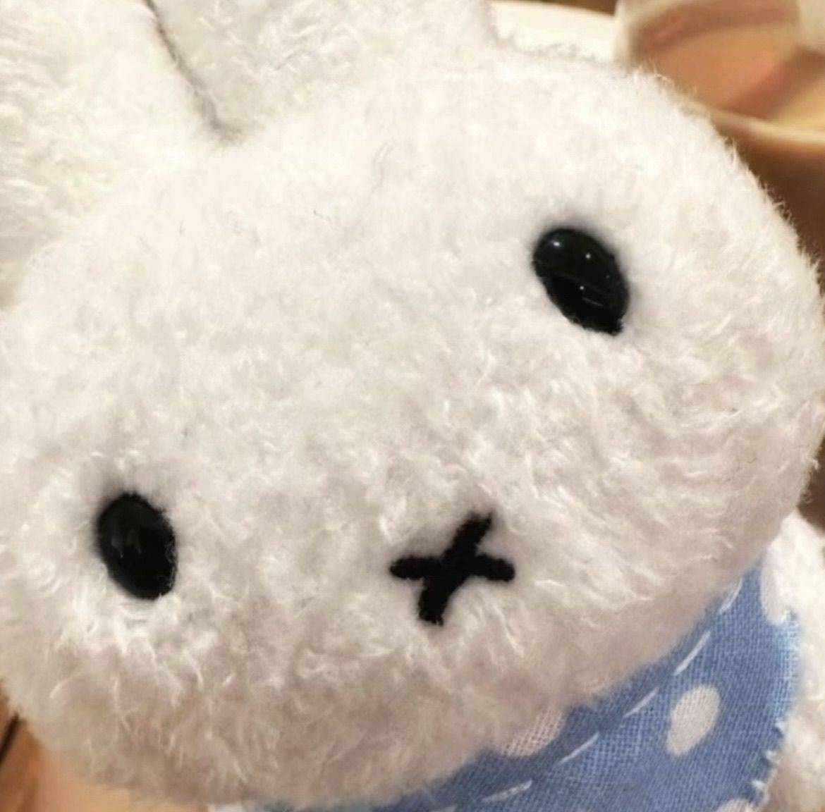 ^ ^