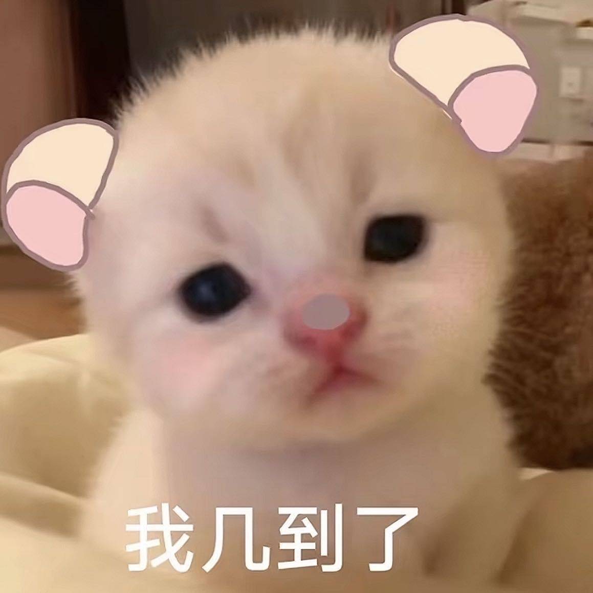 iu小璇
