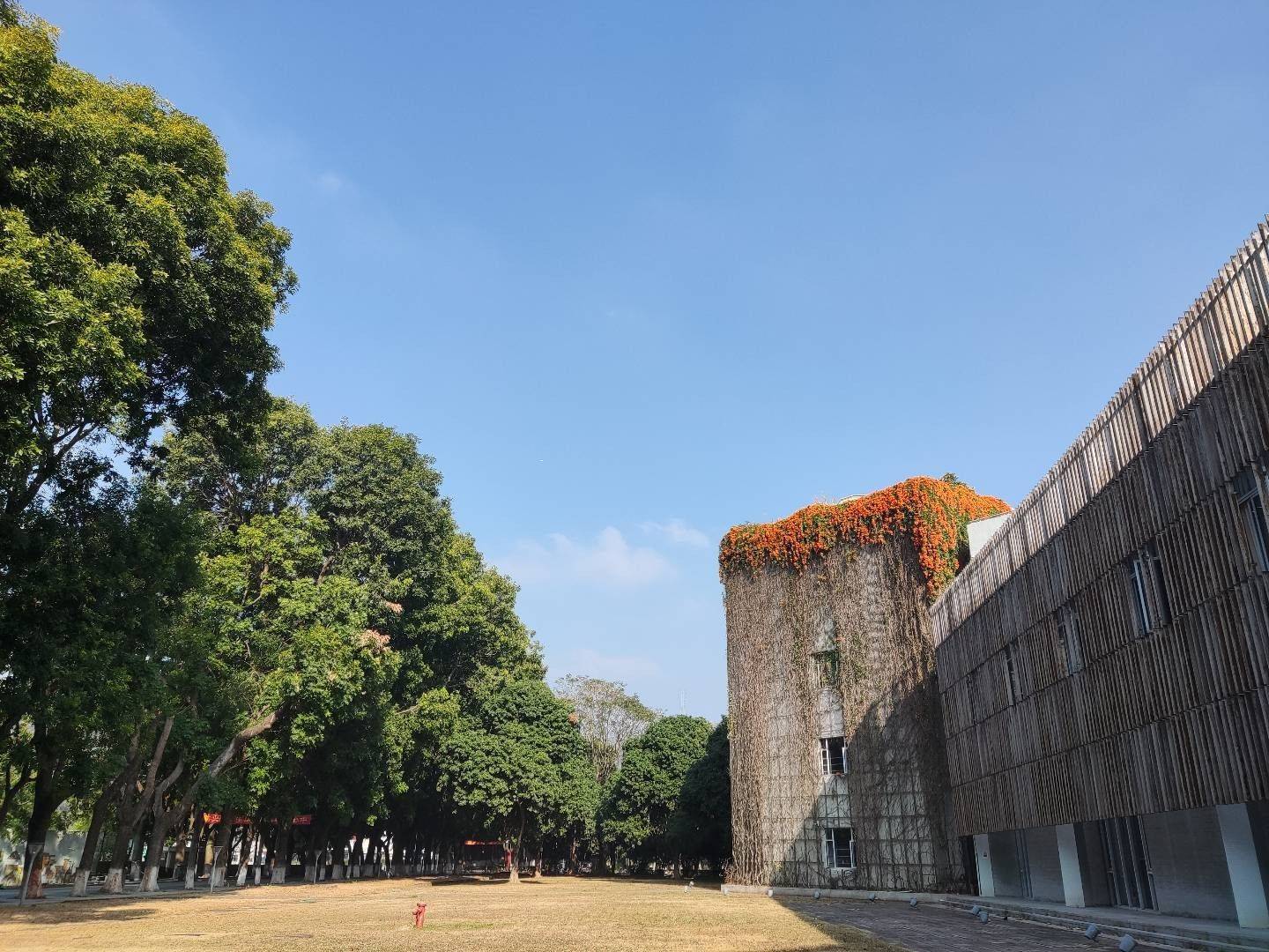 丸丸