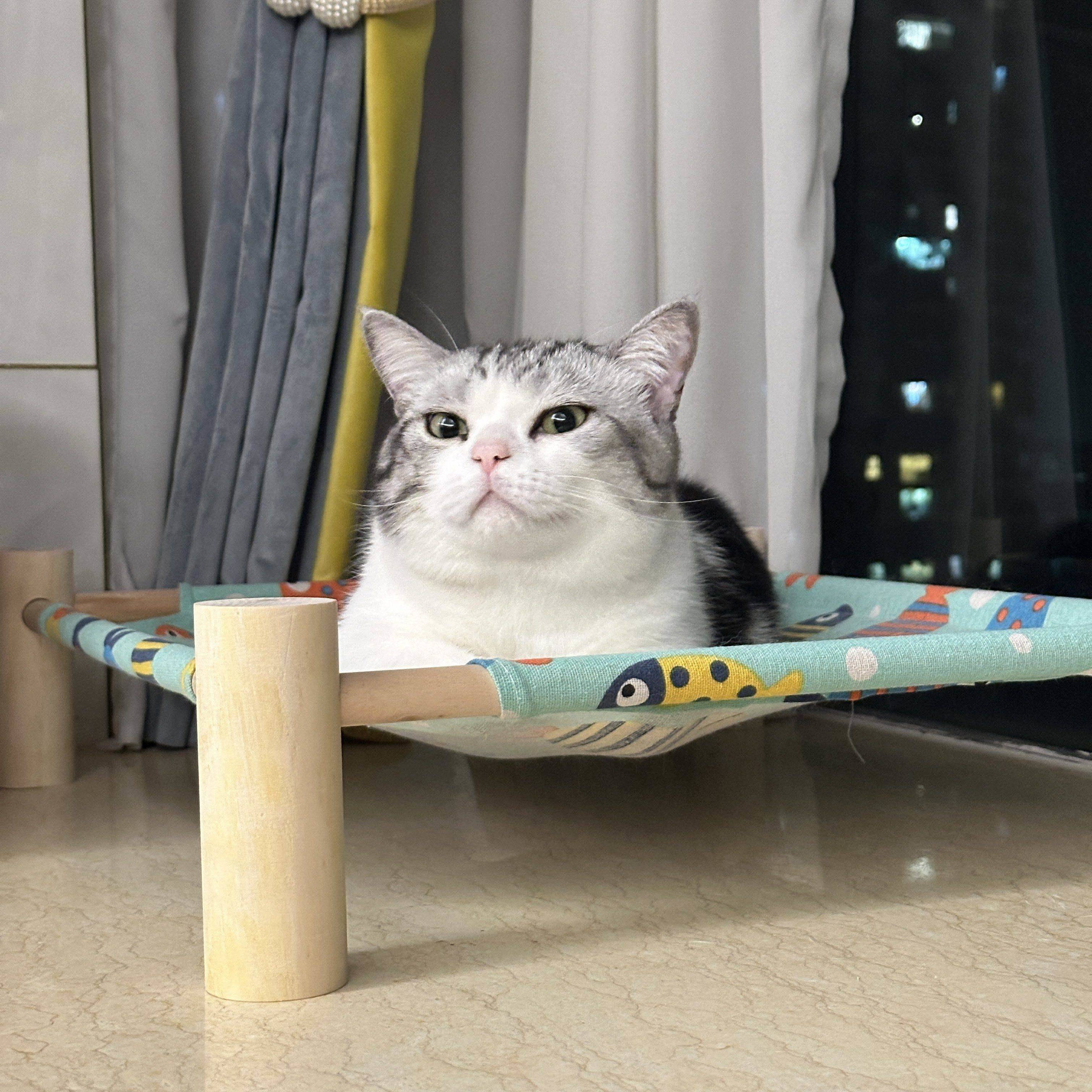 life_photo_0