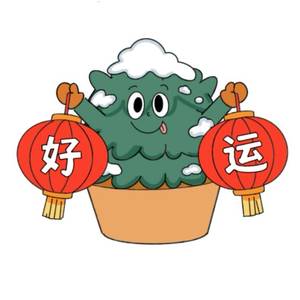 西红柿鸡蛋面