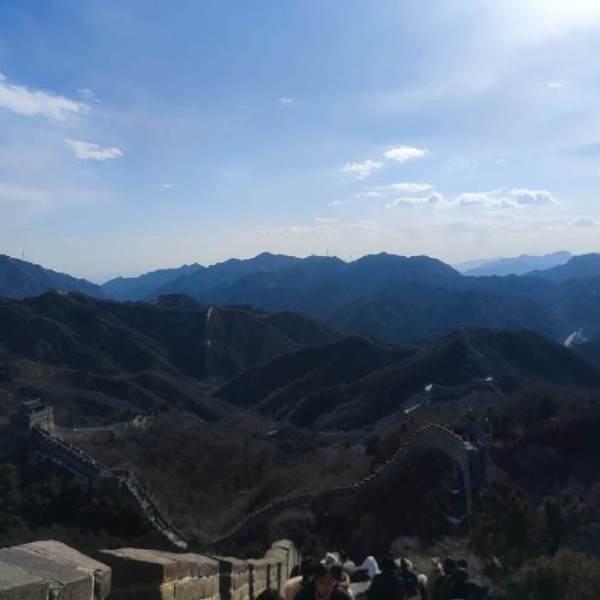 aaa