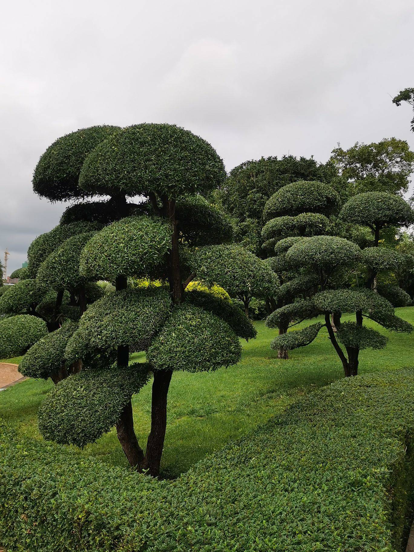 秦岭