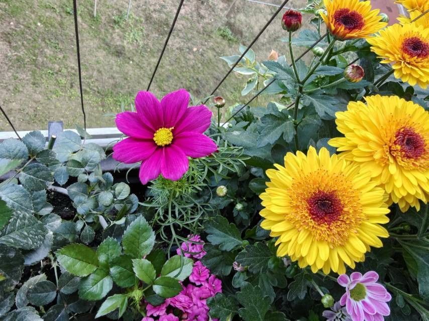 天天快乐喜乐多