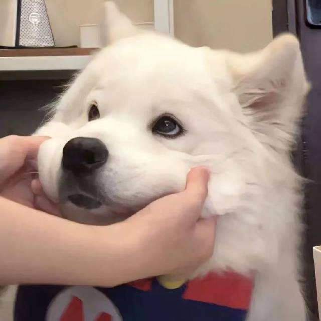忘忘
