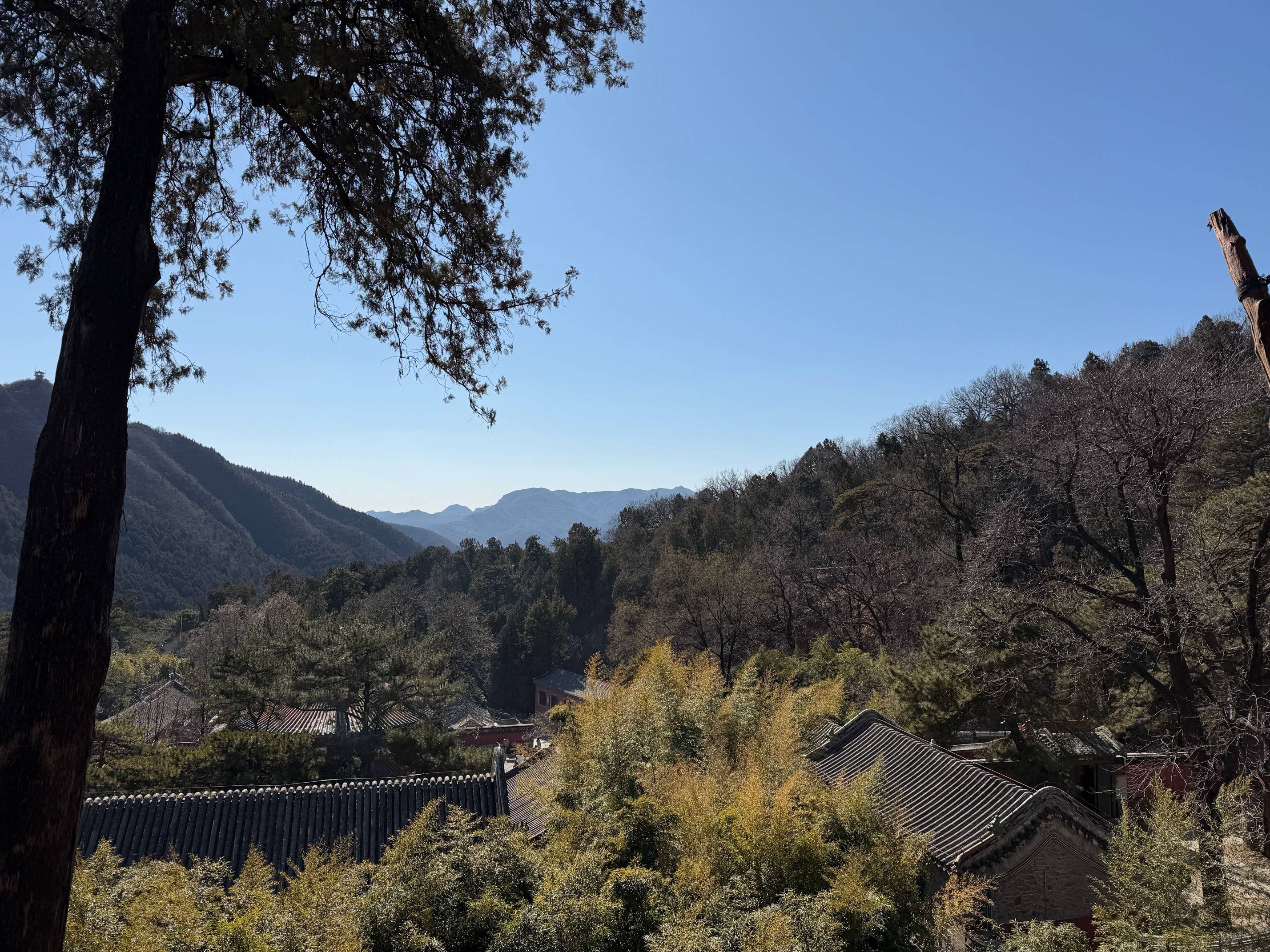 金沟河路徐拜拜