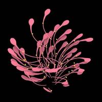 夏葳蕤-请看好简介:)