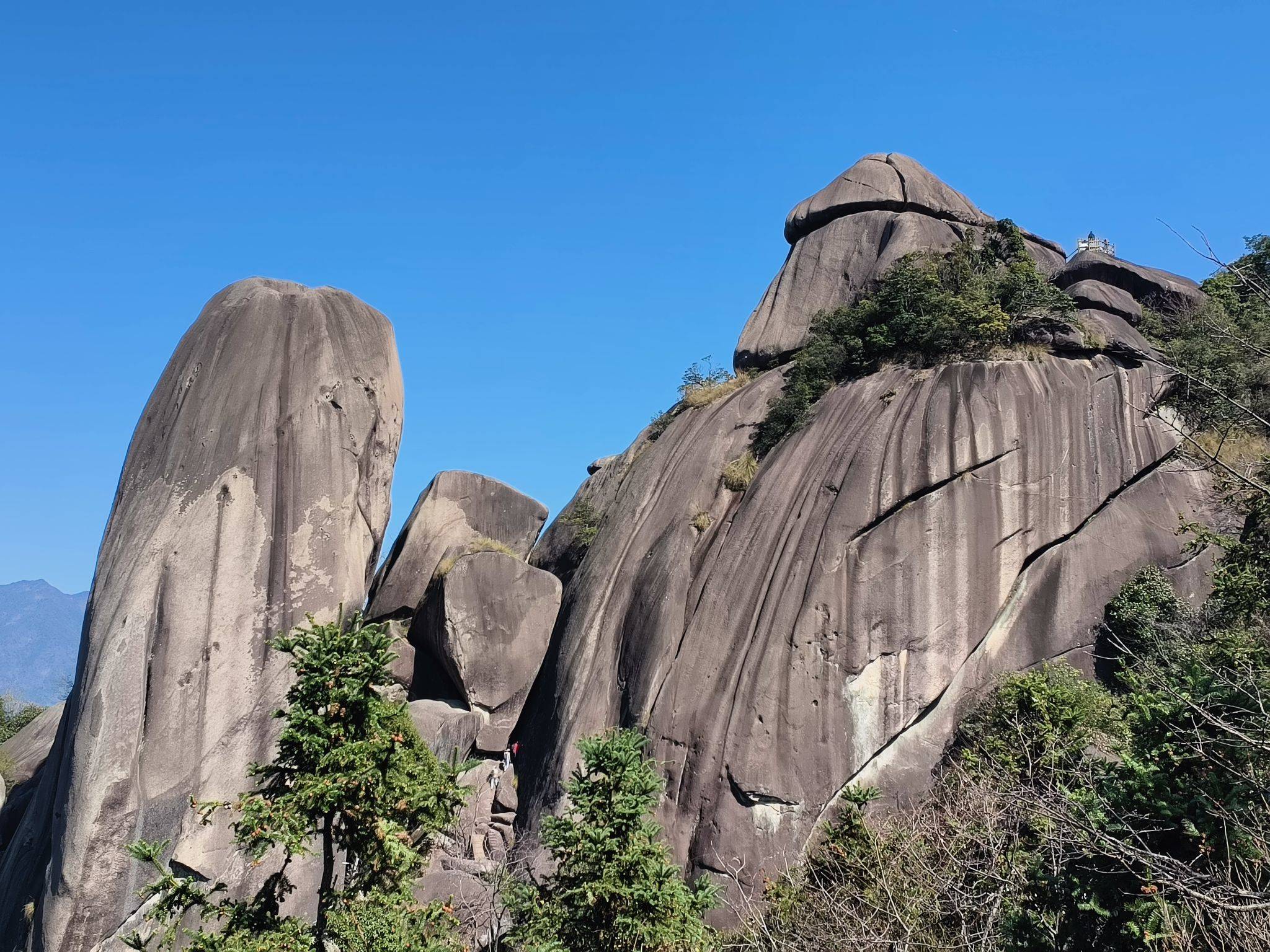 九歌花园特价整租一房