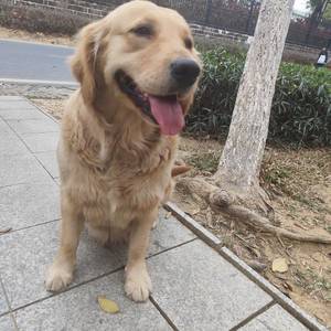 温暖港湾