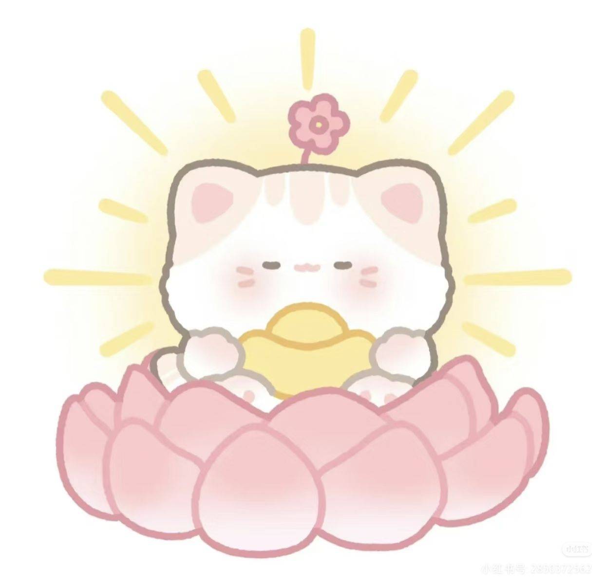 吾心安安