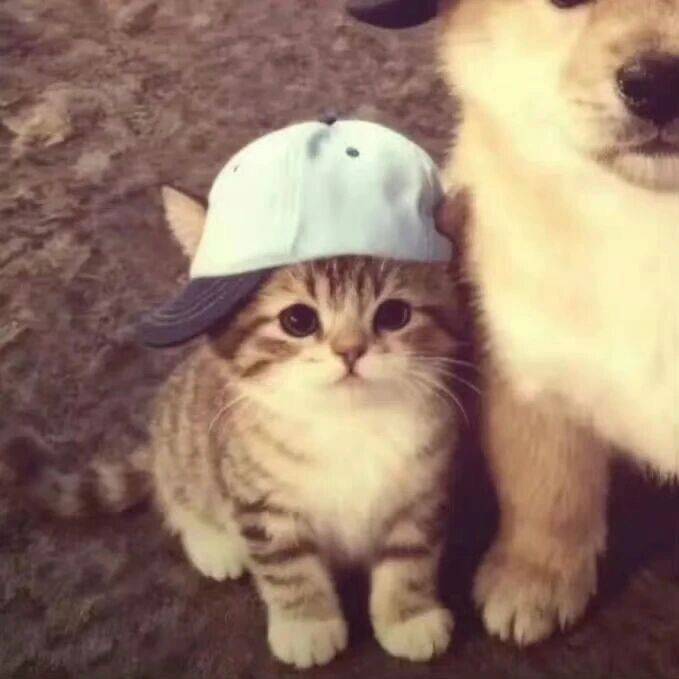 👾