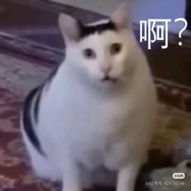 Where自由