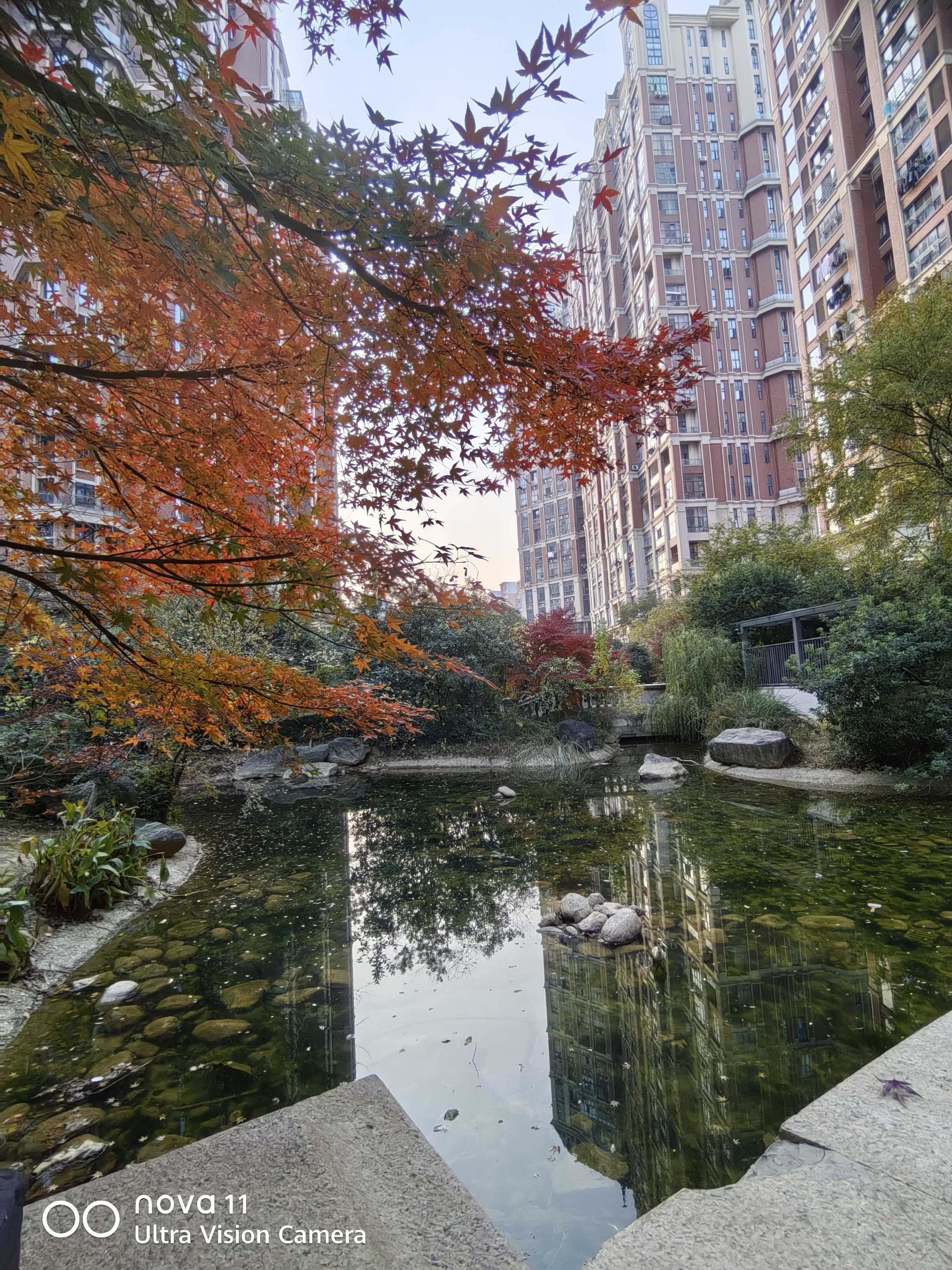 绿水青山