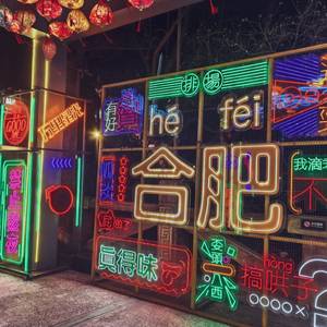 大懒猫