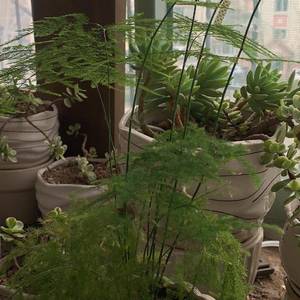 蓝天依旧