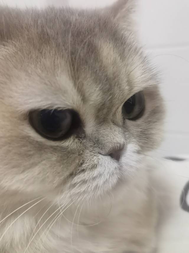 花开十年