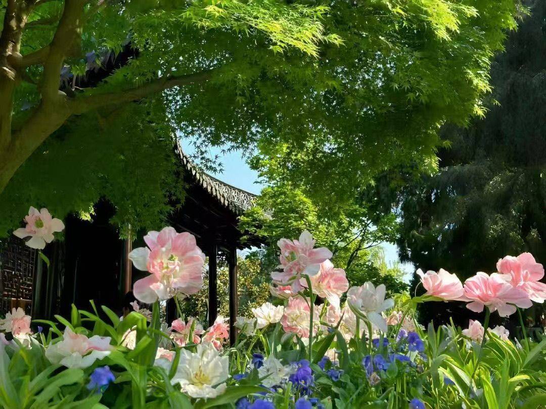 直租无中介一个人