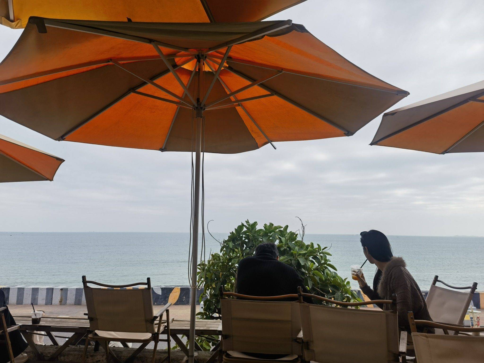 我家今晚不打烊