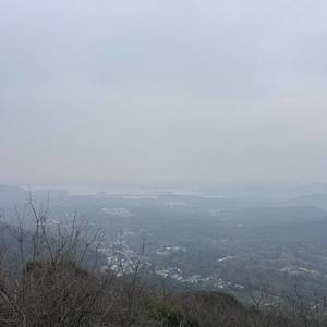 小雅