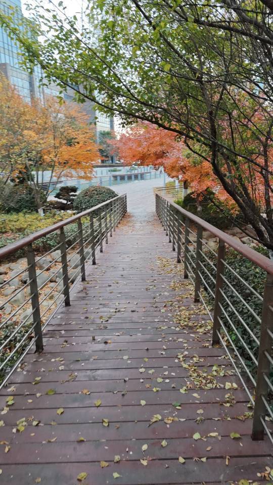 廉馥榕