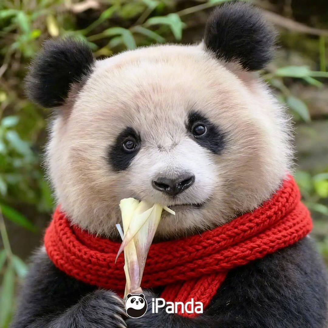 库里库里库库里