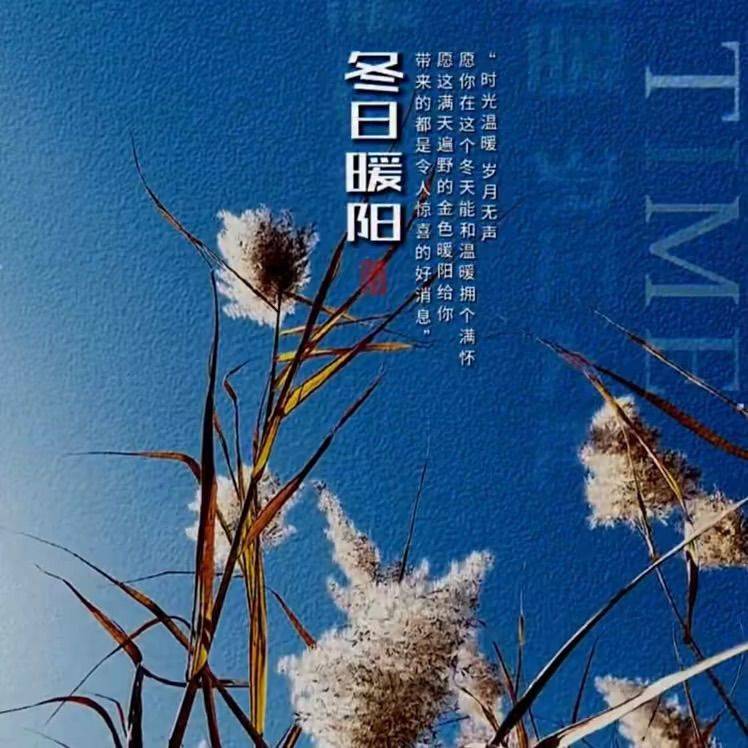 冬日暖阳