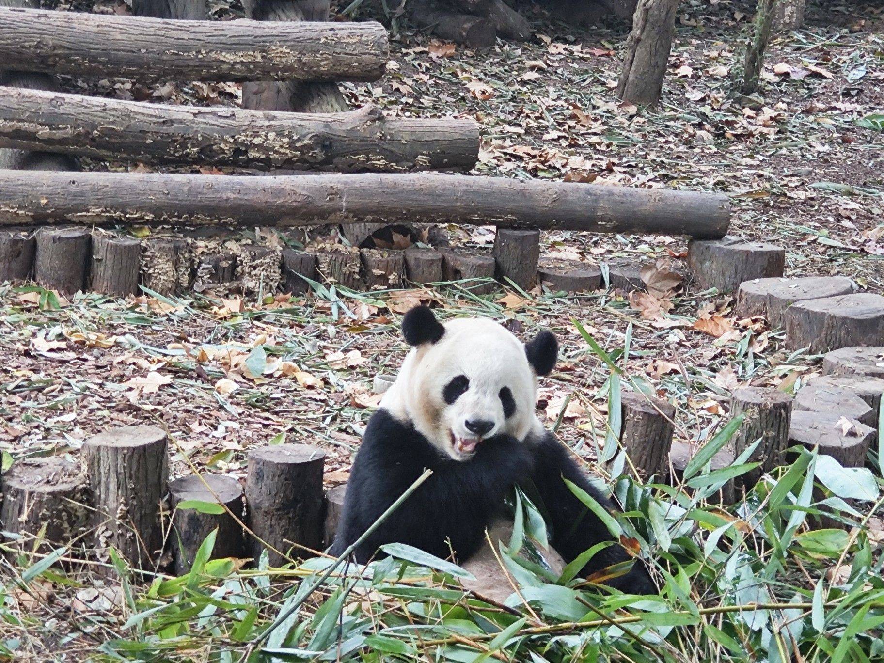 你好