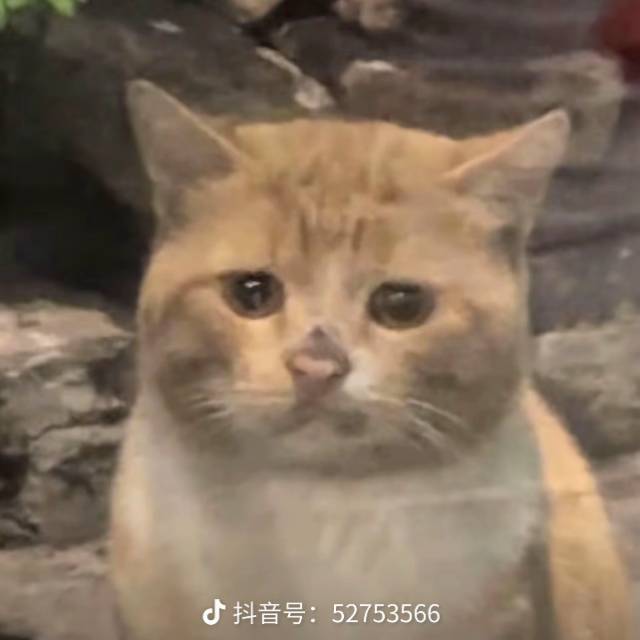 但凡