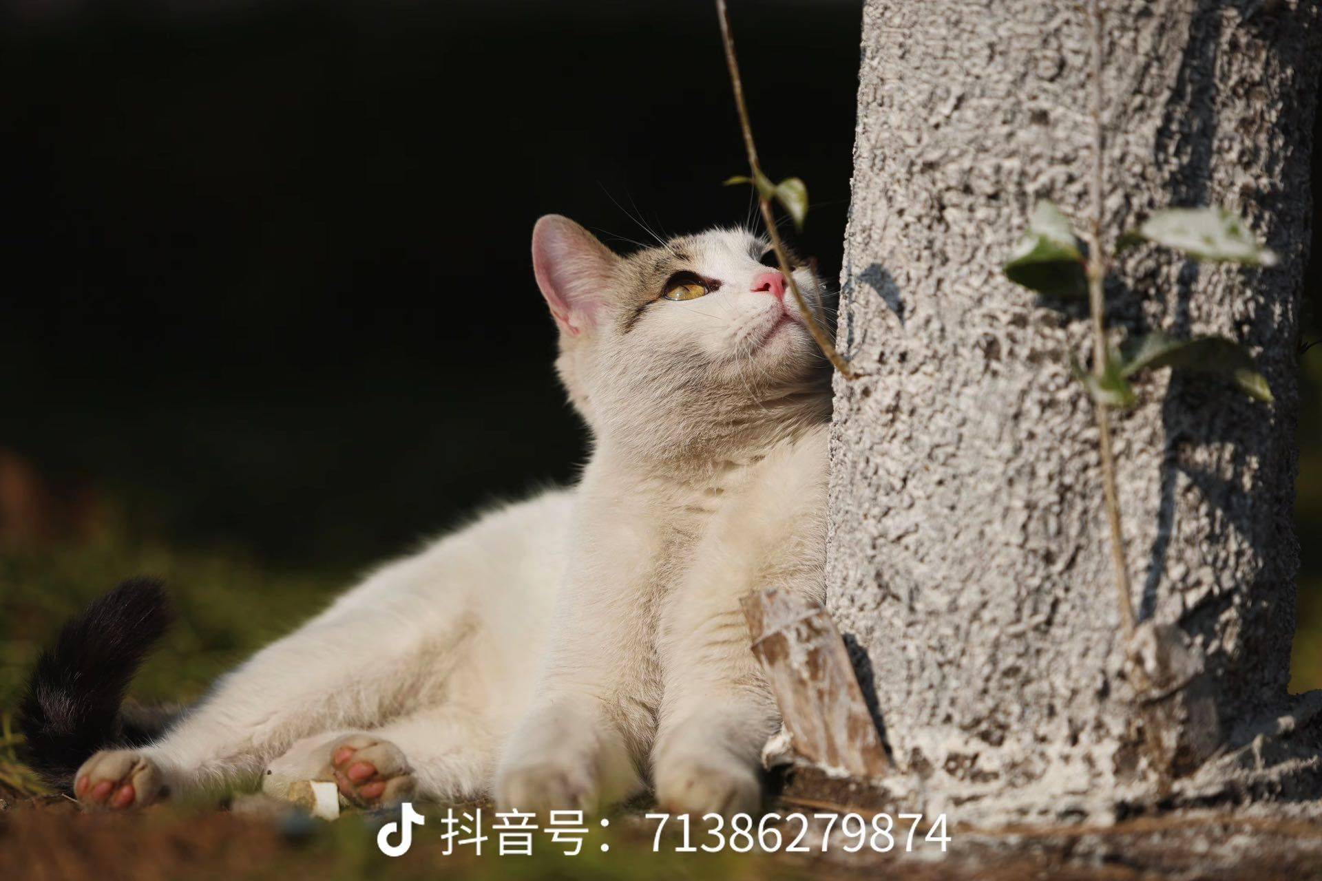 阿皓Max.