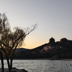 扶摇可接