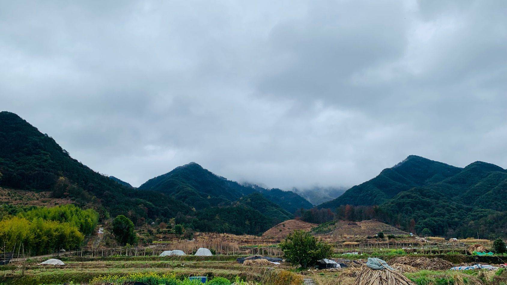 liang