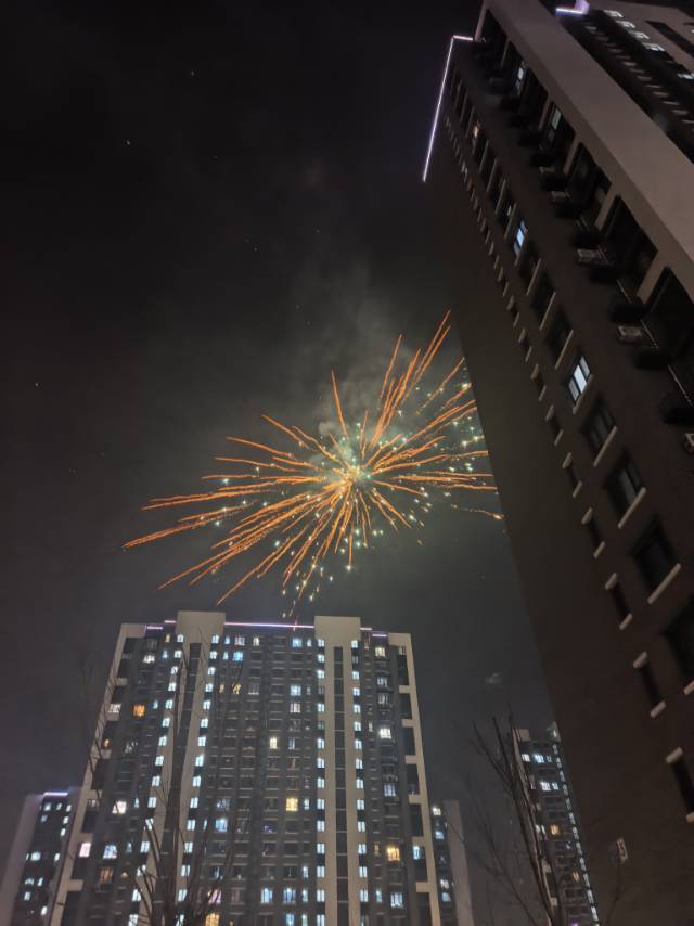 绿豆