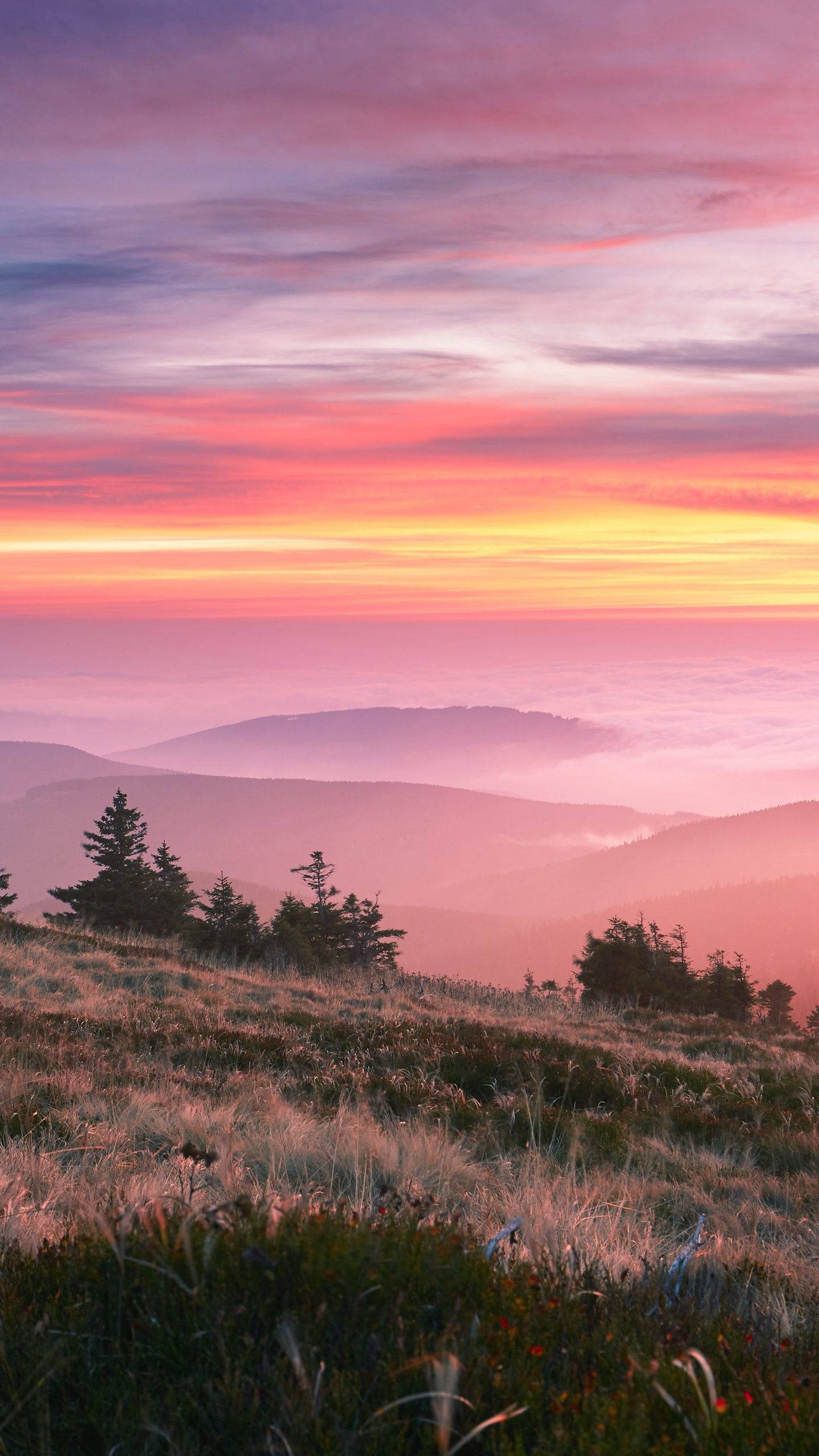 aaa