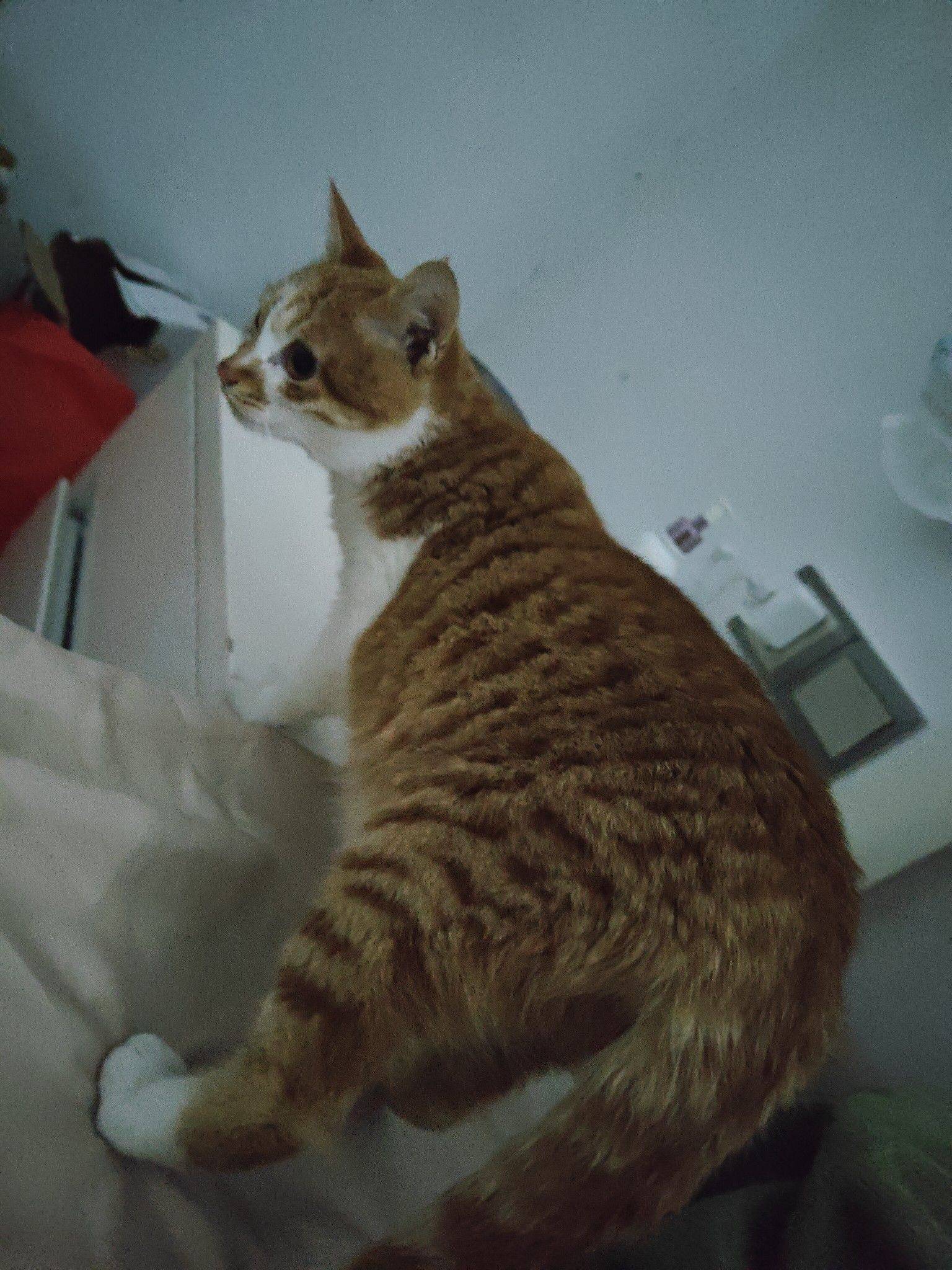 来Wellcee第一天！