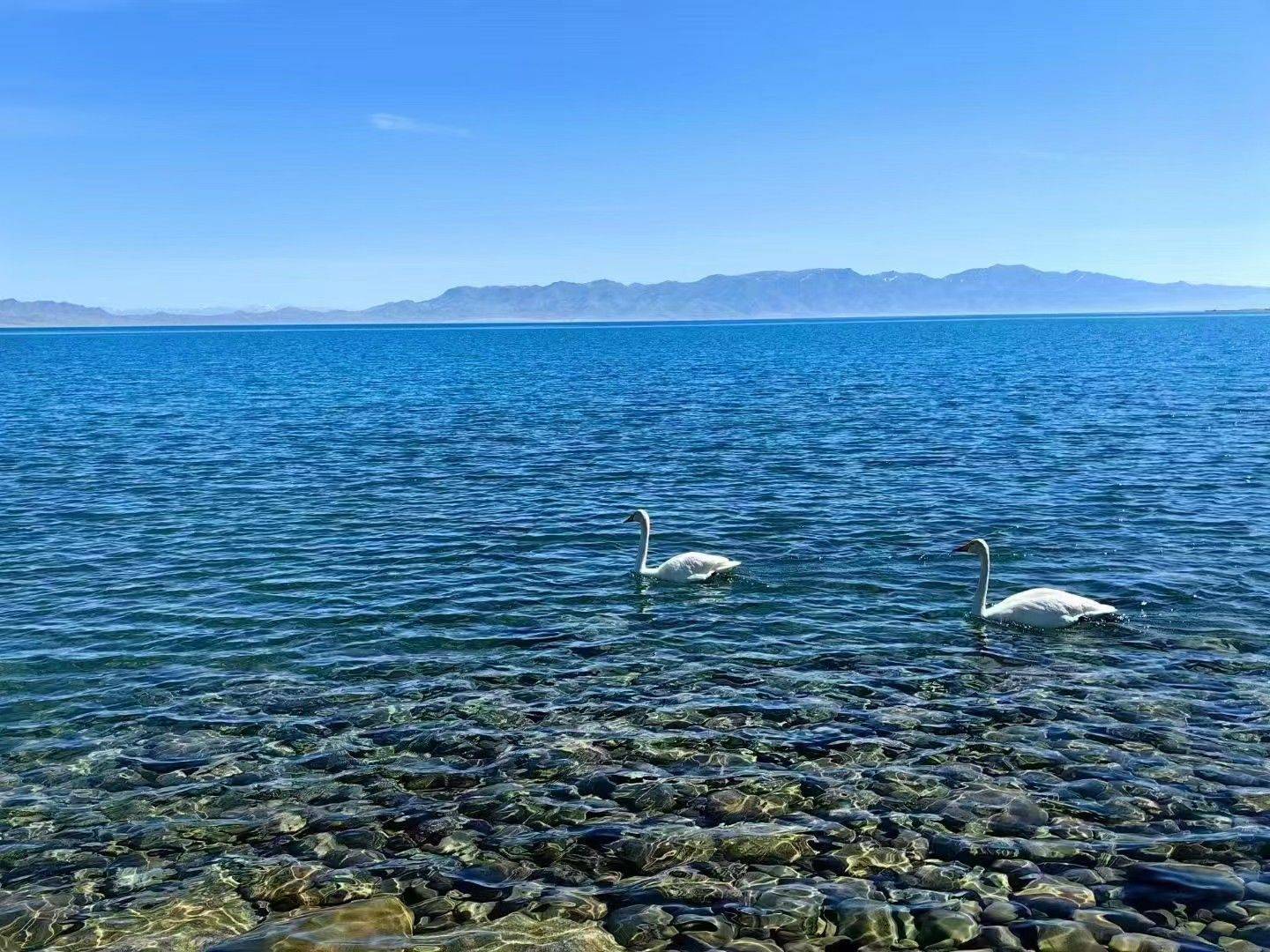 坠入生活的慢节奏