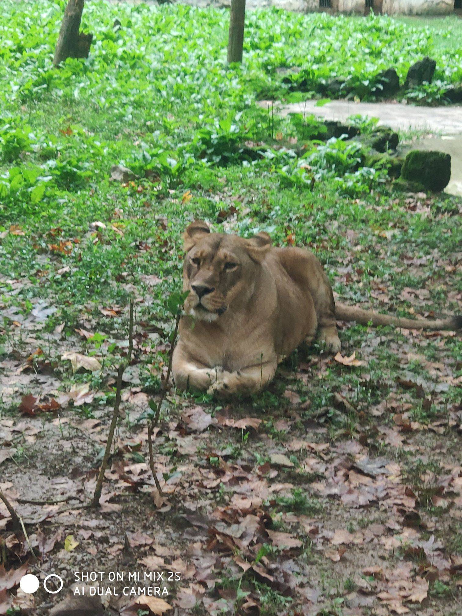 把镜头对准爱的所有