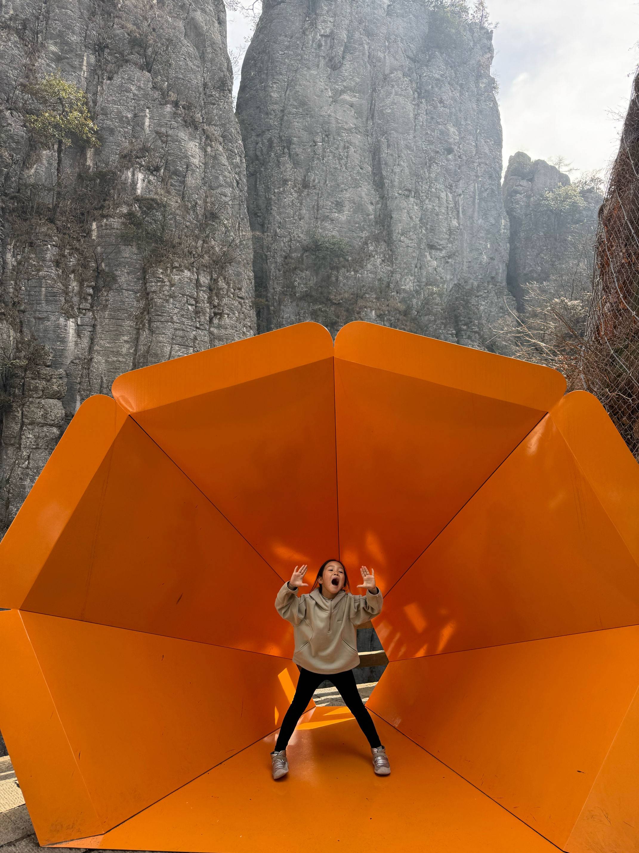 路洋