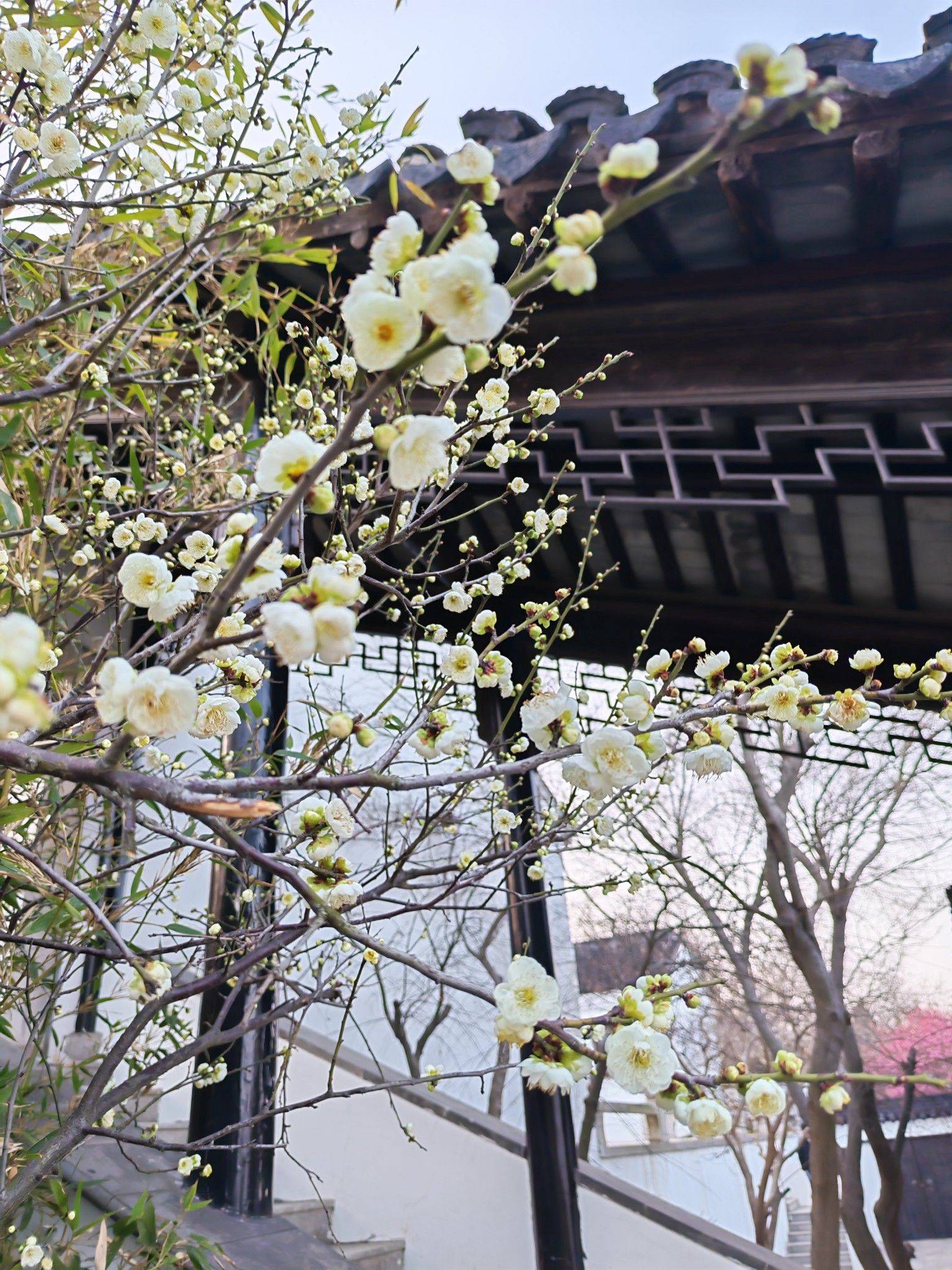 life_photo_0