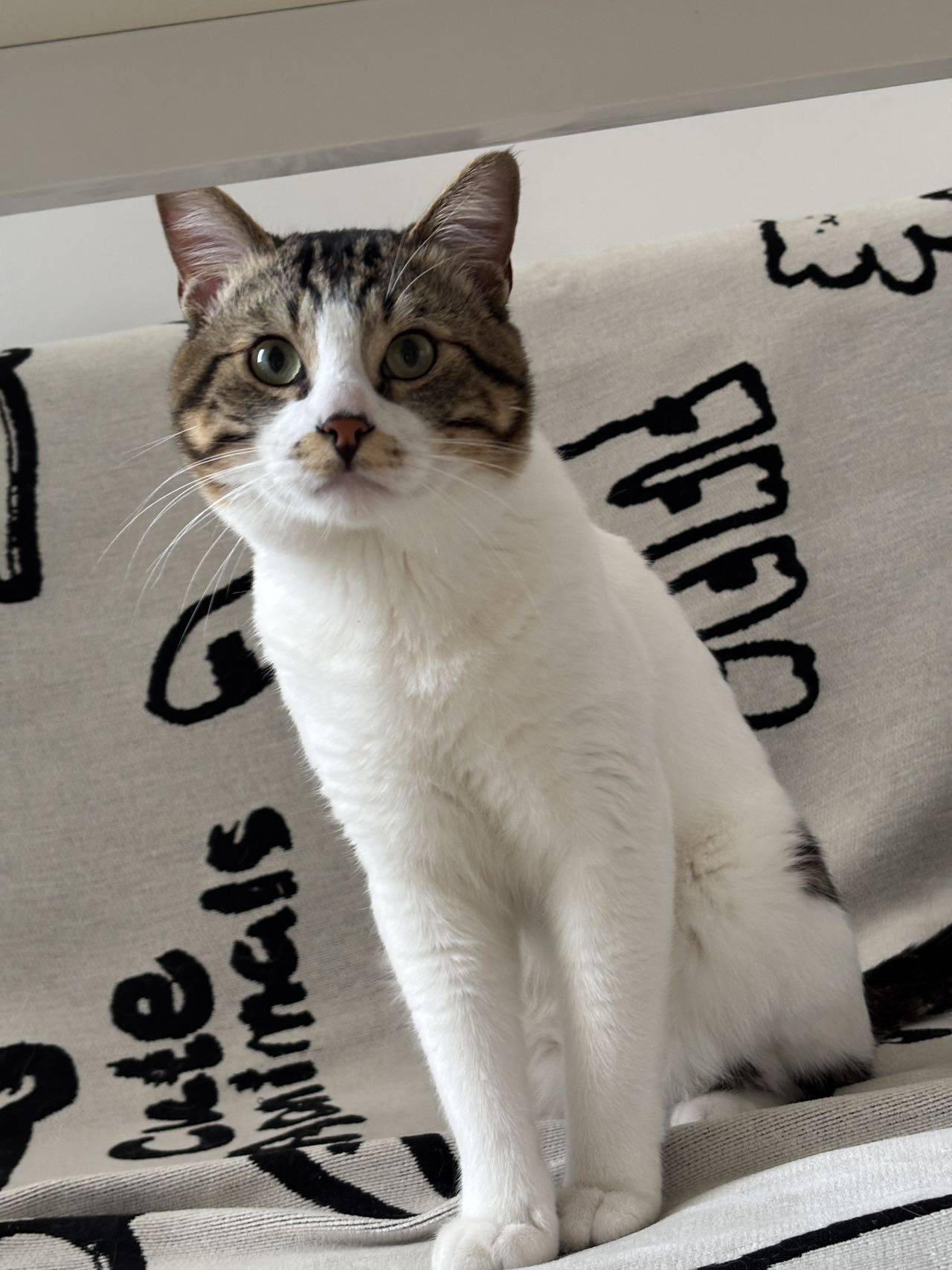 Leoooo