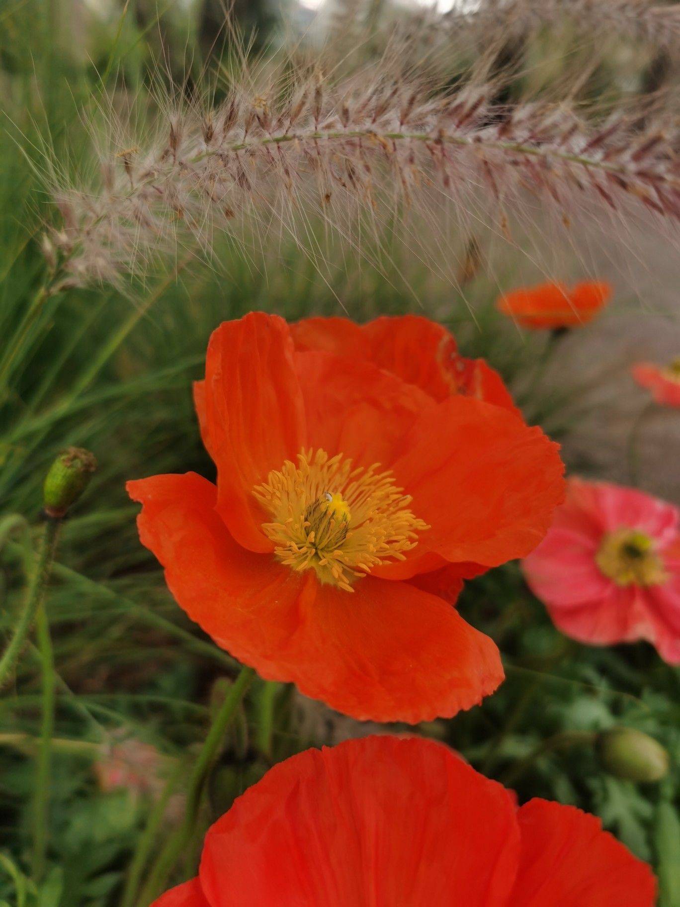 科学的讨饭方式