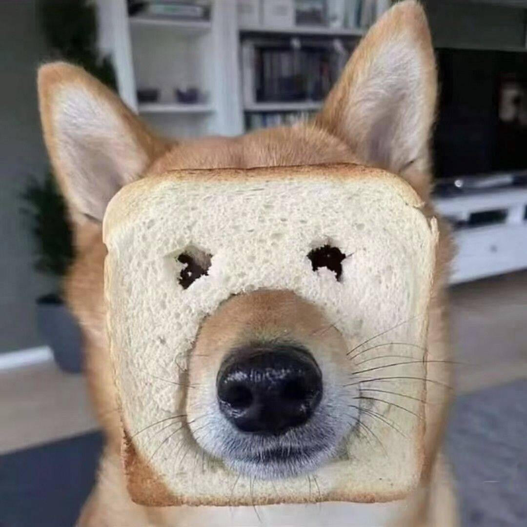 苦心人