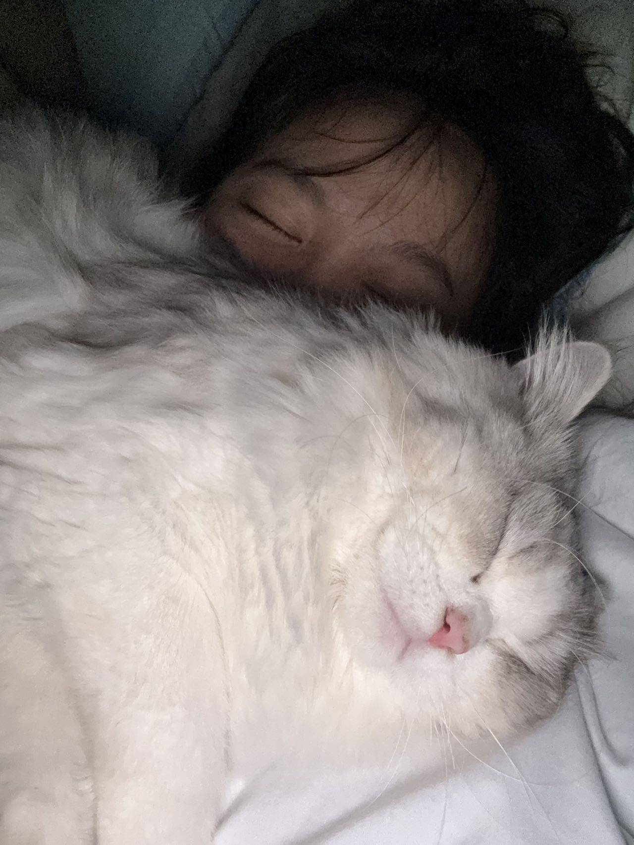 小雨