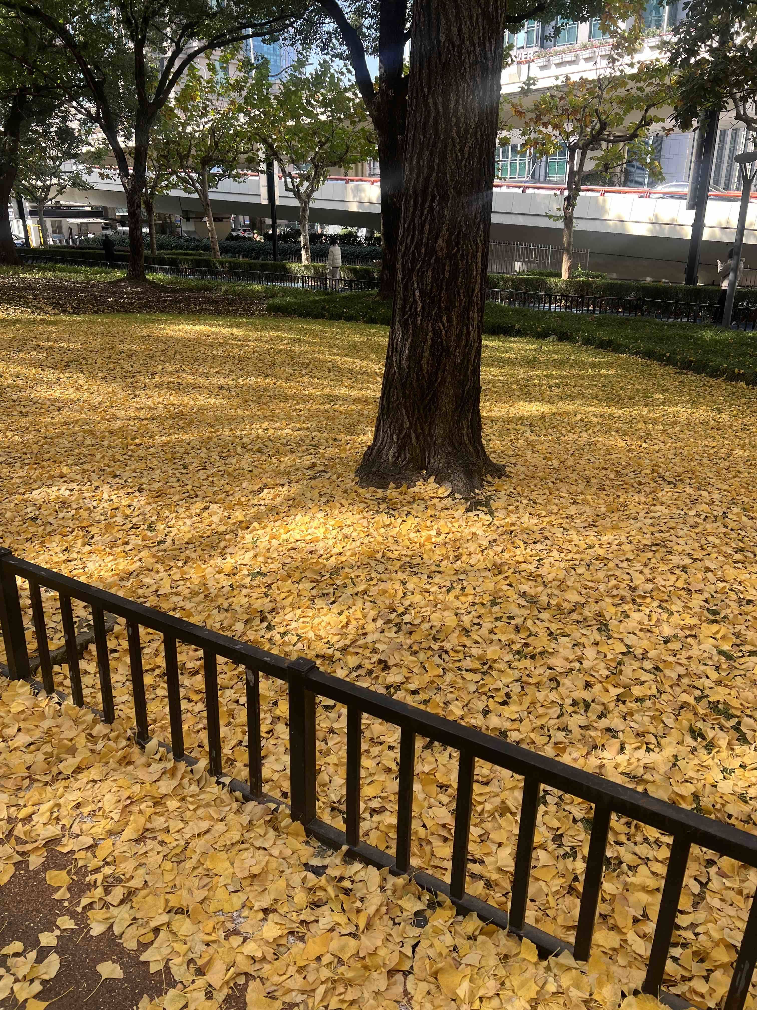 长宁区两室一厅个人直